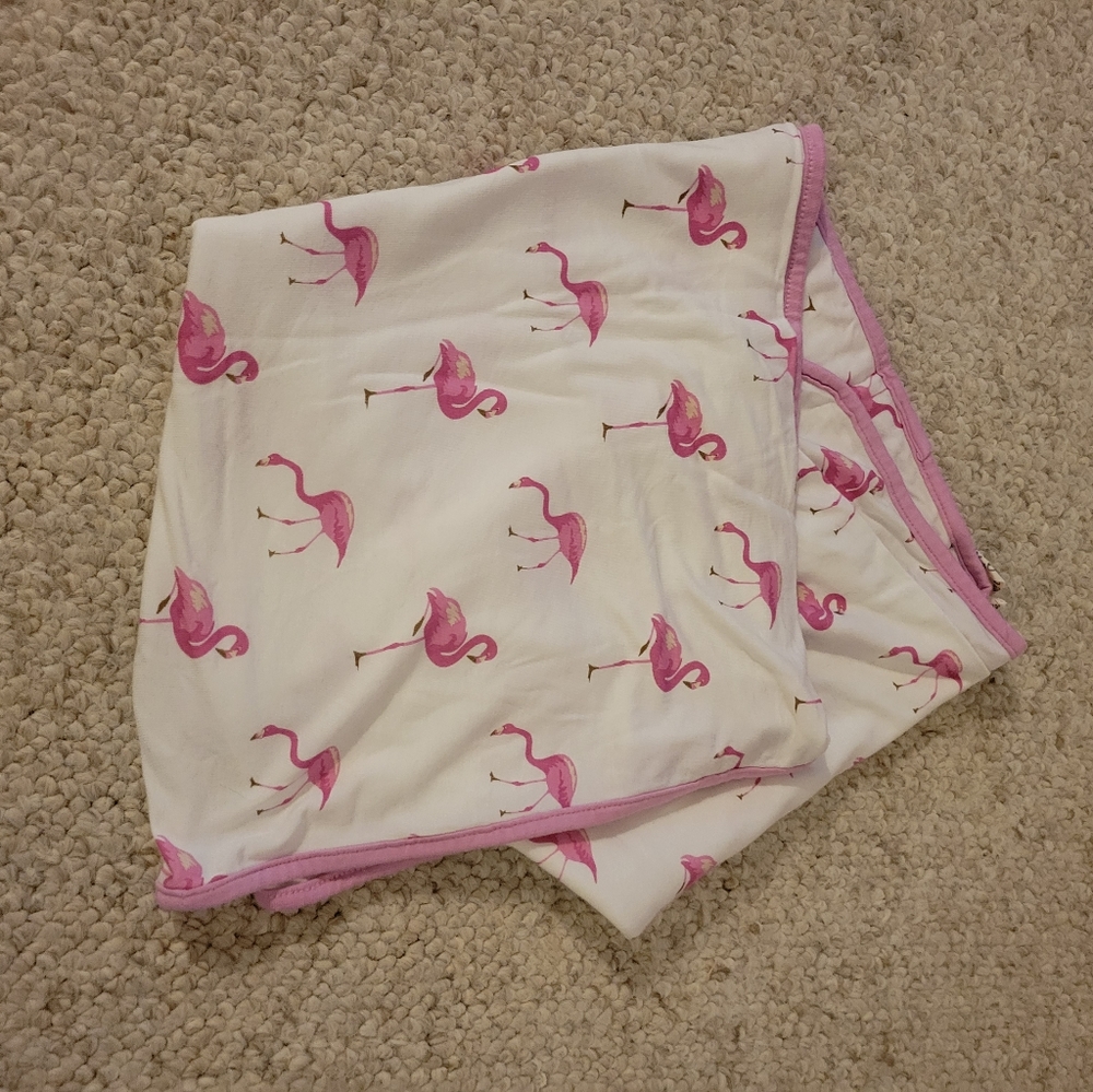 Kyte baby blanket